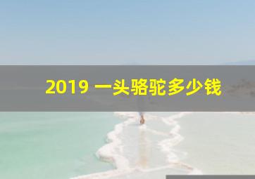 2019 一头骆驼多少钱